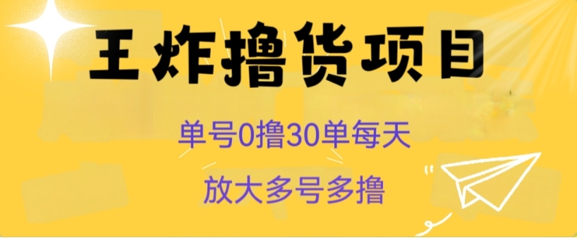 王炸撸货项目，单号0撸30单每天，多号多撸【揭秘】-巨丰资源网