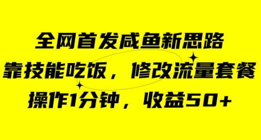 咸鱼冷门新玩法，靠“技能吃饭”，修改流量套餐，操作1分钟，收益50+-巨丰资源网