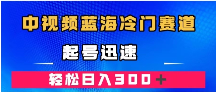 中视频蓝海冷门赛道，韩国视频奇闻解说，起号迅速，日入300＋-巨丰资源网