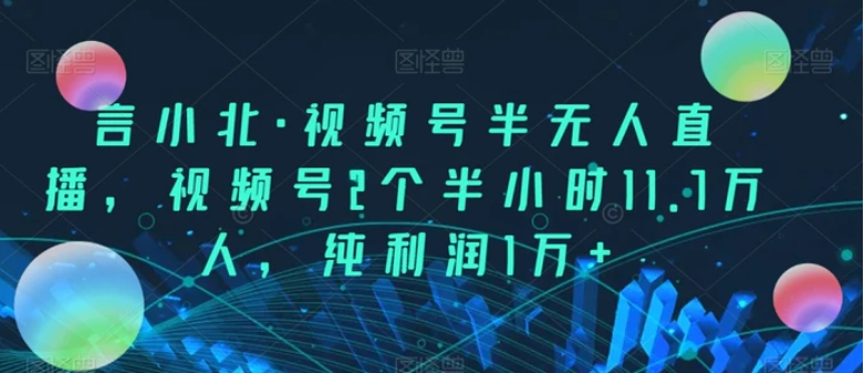 言小北·视频号半无人直播，视频号2个半小时11.7万人，纯利润1万+-巨丰资源网