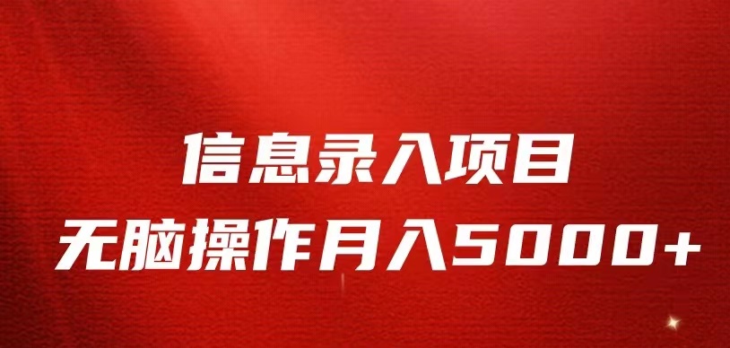 信息录入返佣项目，小白无脑复制粘贴，月入5K+-巨丰资源网