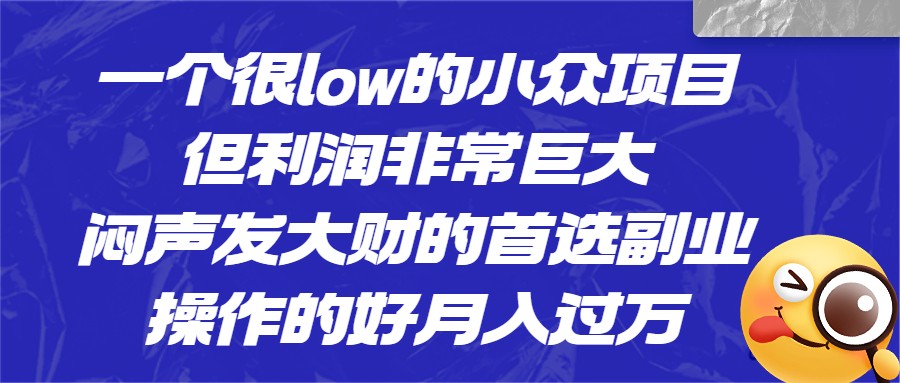 一个很low的小众项目，但利润非常巨大，闷声发大财的首选副业，月入1W+-巨丰资源网