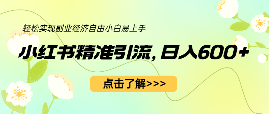 小红书精准引流，小白日入600+，轻松实现副业经济自由-巨丰资源网