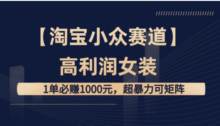 【淘宝小众赛道】高利润女装：1单必赚1000元，超暴力可矩阵-巨丰资源网