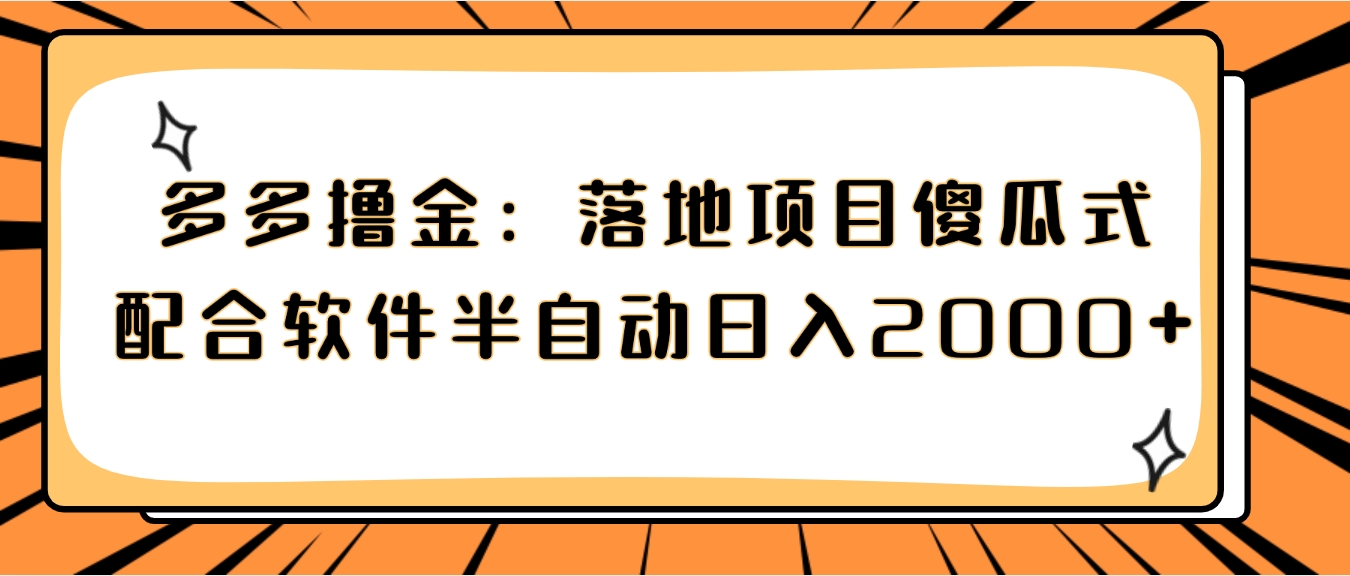 多多撸金：落地项目傻瓜式配合软件半自动日入2000+-巨丰资源网