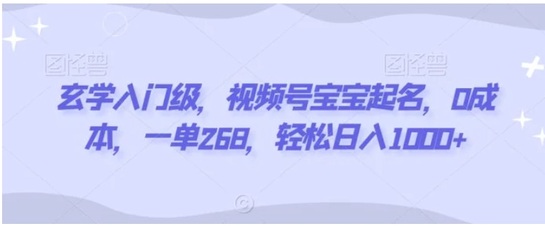 玄学入门级，视频号宝宝起名，0成本，一单268，轻松日入1000+-巨丰资源网