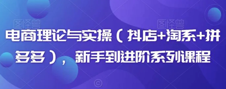 电商理论与实操，新手到进阶系列课程-巨丰资源网