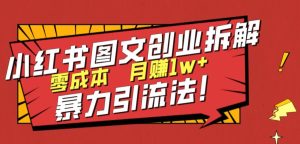 小红书图文创业拆解，暴力引流法，零成本月入1w+【揭秘】-巨丰资源网