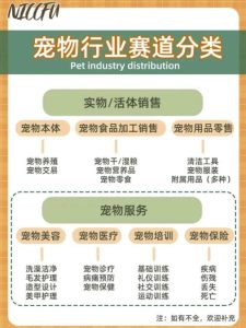 长期稳定玩法，副业每月收益6000+，小红书宠物赛道！-巨丰资源网