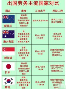 国外劳务派遣：一单净赚3万，无本信息差赚钱-巨丰资源网