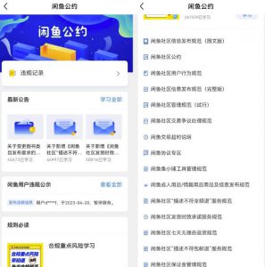 闲鱼图书无货源副业思路，涵货源+选品+发货等，保姆级玩法分享给你-巨丰资源网