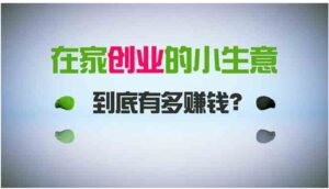 在家创业，日引300+创业粉，一年收入30万，闷声发财的小生意，比打工强-巨丰资源网