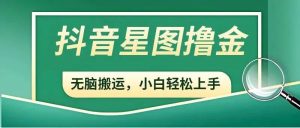 抖音赚钱新手必读：开通星图，参与商务推广任务，轻松增加收益！-巨丰资源网