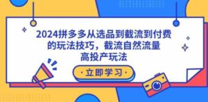 （9037期）2024拼多多从选品到截流到付费的玩法技巧，截流自然流量玩法，高投产玩法-巨丰资源网