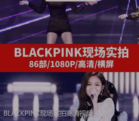 BLACKPINK现场实拍高清视频-巨丰资源网