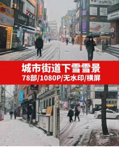 城市街道下雪雪景视频素材-巨丰资源网