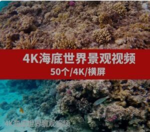 4K海底世界景观视频-巨丰资源网