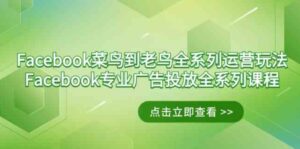 （9065期）Facebook-菜鸟到老鸟全系列运营玩法+Facebook-专业广告投放全系列课程-巨丰资源网