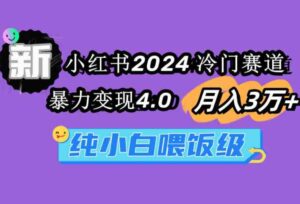 （9134期）小红书2024冷门赛道月入3万+暴力变现4.0纯小白喂饭级-巨丰资源网