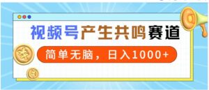 （9133期）2024年视频号，产生共鸣赛道，简单无脑，一分钟一条视频，日入1000+-巨丰资源网