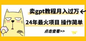 （9180期）24年最火项目，卖gpt教程月入过万，操作简单-巨丰资源网