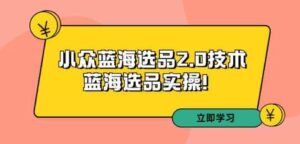 （9189期）拼多多培训第33期：小众蓝海选品2.0技术-蓝海选品实操！-巨丰资源网