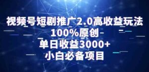 （9236期）视频号短剧推广2.0高收益玩法，100%原创，单日收益3000+，小白必备项目-巨丰资源网