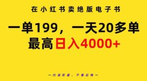 （9401期）在小红书卖绝版电子书，一单199一天最多搞20多单，最高日入4000+教程+资料-巨丰资源网