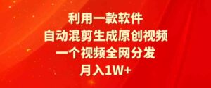 （9472期）利用一款软件，自动混剪生成原创视频，一个视频全网分发，月入1W+附软件-巨丰资源网