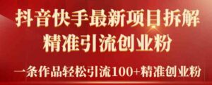 （9447期）2024年抖音快手最新项目拆解视频引流创业粉，一天轻松引流精准创业粉100+-巨丰资源网