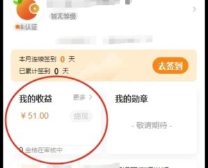 批改作业小兼职，8元一小时？3小时50+【亲测苦力】-巨丰资源网