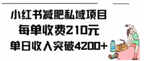 （9466期）小红书减肥私域项目每单收费210元单日成交20单，最高日入4200+-巨丰资源网