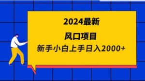 （9483期）2024最新风口项目新手小白日入2000+-巨丰资源网