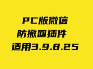 PC微信防撤回插件适用3.9.8.25-巨丰资源网