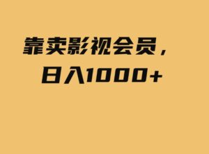 （9509期）靠卖影视会员，日入1000+-巨丰资源网