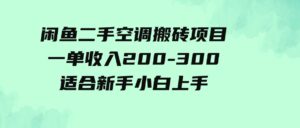 （9539期）闲鱼二手空调搬砖项目，一单收入200-300，适合新手小白上手-巨丰资源网