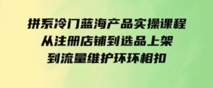 （9527期）拼系冷门蓝海产品实操课程，从注册店铺到选品上架到流量维护环环相扣-巨丰资源网