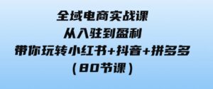 （9529期）全域电商实战课：从入驻到盈利，带你玩转小红书+抖音+拼多多（80节课）-巨丰资源网