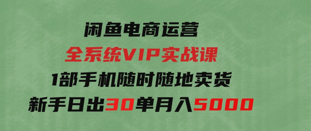 （9547期）闲鱼电商运营全系统VIP实战课，1部手机随时随地卖货，新手日出30单月入5000-巨丰资源网