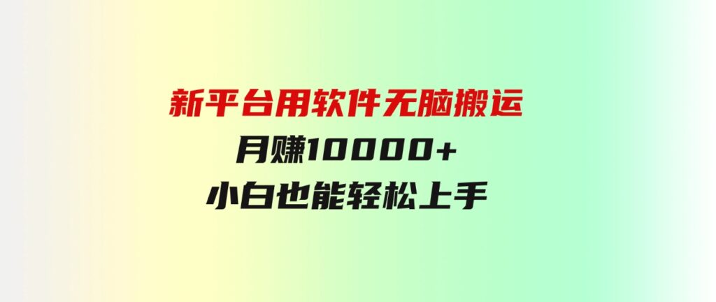 （9745期）新平台用软件无脑搬运，月赚10000+，小白也能轻松上手-巨丰资源网