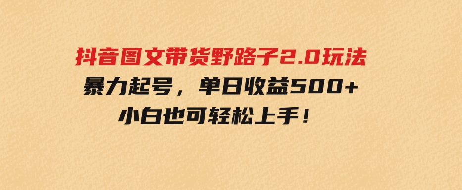 （9790期）抖音图文带货野路子2.0玩法，暴力起号，单日收益500+，小白也可轻松上手！-巨丰资源网