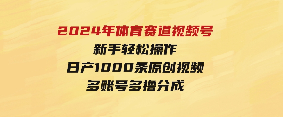 （9810期）2024年体育赛道视频号，新手轻松操作，日产1000条原创视频,多账号多撸分成-巨丰资源网