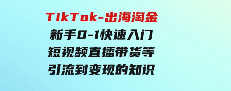 TikTok-出海淘金，新手0-1快速入门短视频直播带货等引流到变现的知识-巨丰资源网