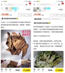 0成本靠卖树叶赚钱，1单20块，单日300+-巨丰资源网