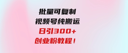 批量可复制！视频号纯搬运日引300+创业粉教程！-巨丰资源网