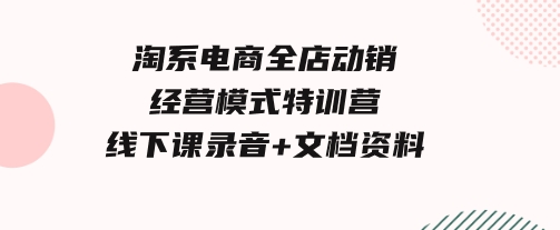 淘系电商全店动销经营模式特训营，线下课录音+文档资料-巨丰资源网