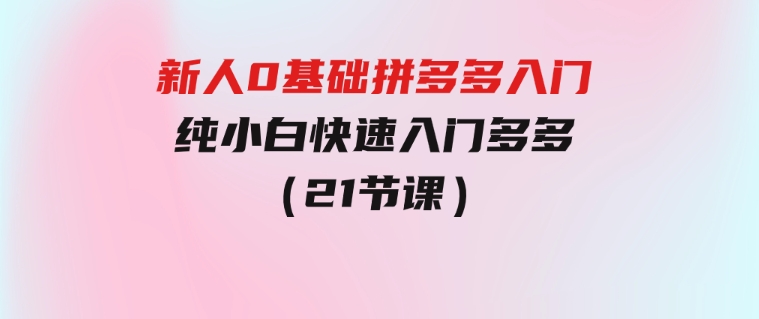 新人0基础拼多多入门，​纯小白快速入门多多（21节课）-巨丰资源网