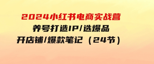 2024小红书电商实战营，养号打造IP/选爆品/开店铺/爆款笔记/等等（24节）-巨丰资源网