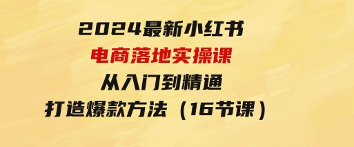 2024最新小红书电商落地实操课，从入门到精通，打造爆款方法（16节课）-巨丰资源网