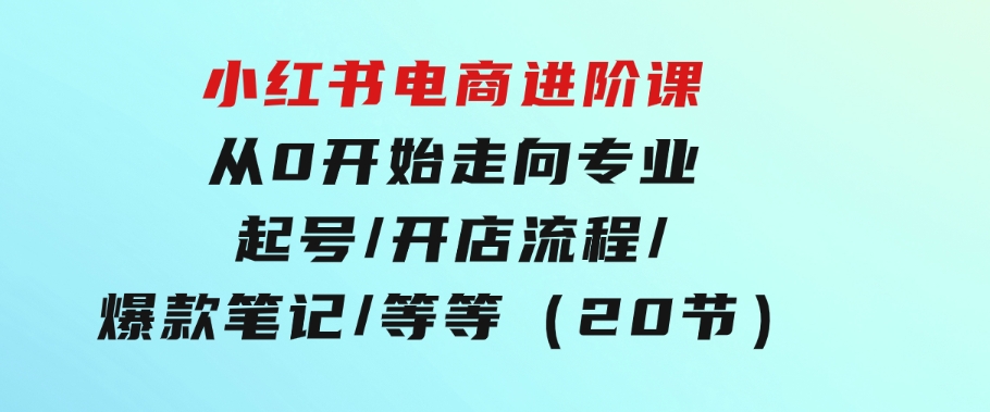 小红书电商进阶课：从0开始走向专业起号/开店流程/爆款笔记/等等（20节）-巨丰资源网